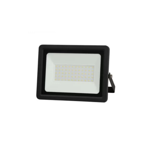Projecteur 100 W 6500k